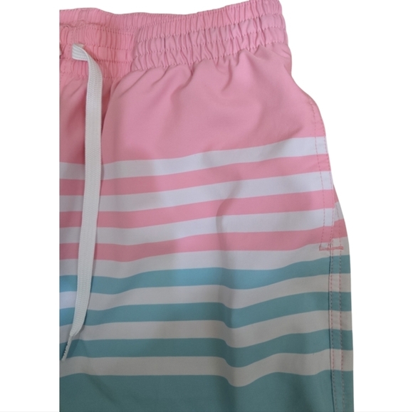 Chubbies The On The Horizons Swim Shorts Blue, Pink, White Stripe Medium 7" - Picture 3 of 6
